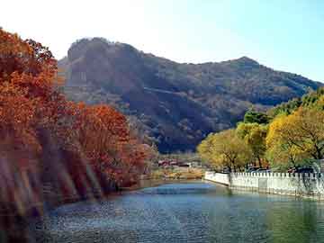 新澳门二四六天天彩，东平网站建设